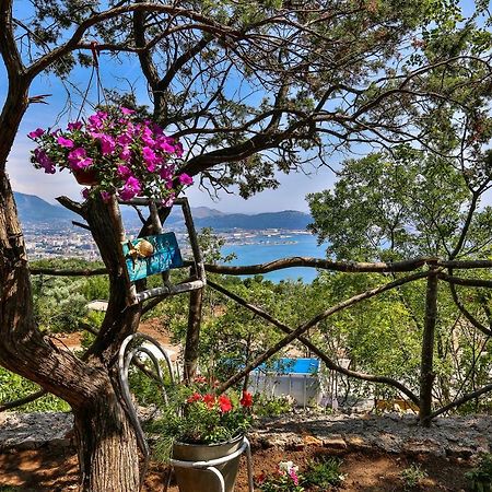 Tramontana Glamping Hotell Bar Eksteriør bilde